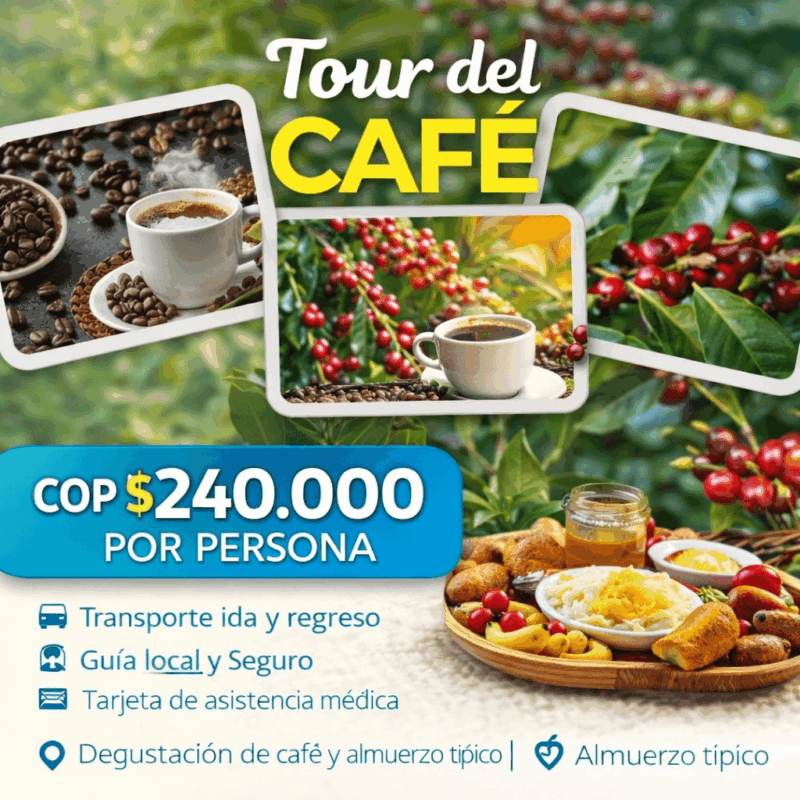 Tour del Cafe
